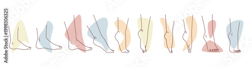 Women feet set, shape of leg, ankle and fingers on feet. Vector spa salon treatment or massage procedures care for skin softness. Isolated female body part. Monochrome sketch outline