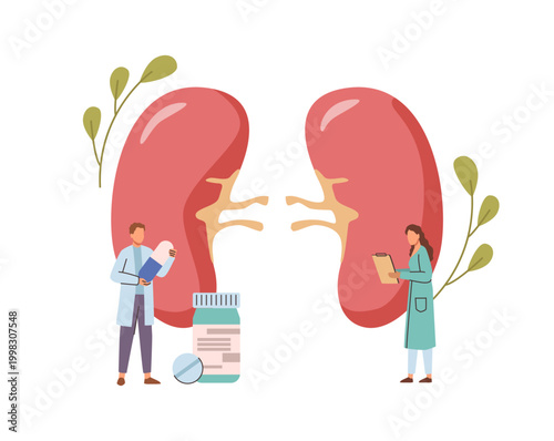 Kidney examination. Vector little doctors standing near to big organ with pills and making notes. Assessing renal organ function and detect diseases such as infections, stones or chronic illnesses