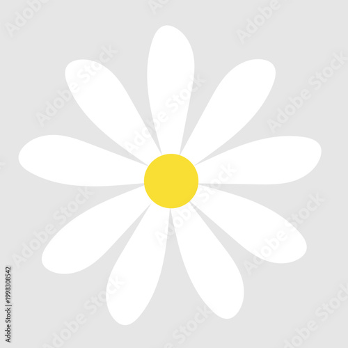 Daisy flowers icon vector. Daisy Illustration sign. Chamomile symbol. flowers logo.