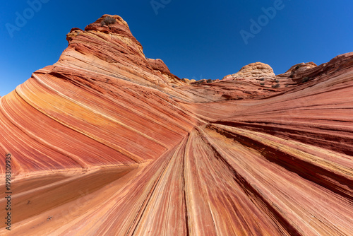 Εκτύπωση καμβά The Wave, Coyote Buttes North, Arizona