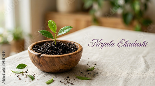 Tiny Sprout of Life: A single, vibrant sprout emerges from rich soil within a rustic wooden bowl, symbolizing growth, renewal, and the beauty of beginnings.