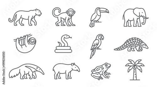 Canvas Print Line art illustrations of various jungle animals and exotic wildlife icons