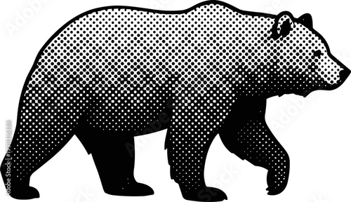 Grizzly bear walks