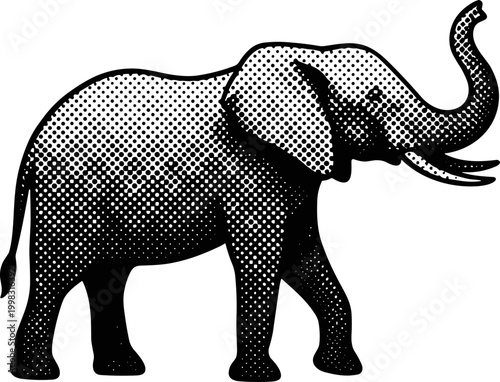 Elephant walks freely