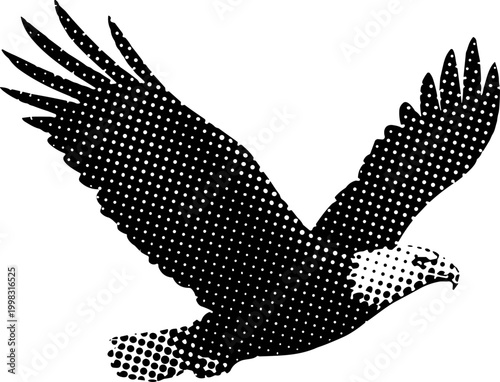 Eagle flies over landscape