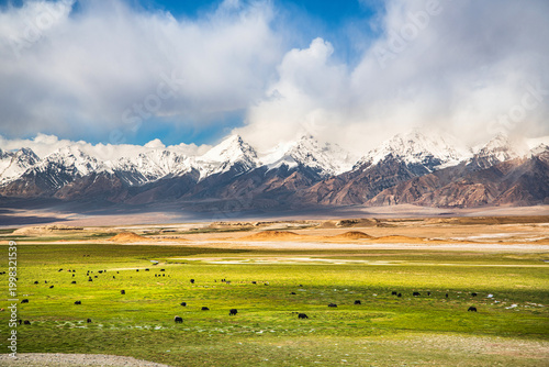 Foto Alpine grassland pasture on Pamir Plateau, Kizilsu, Xinjiang, China