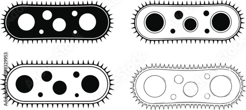 Bacteria Microorganism Icon Set with Germ Cell Shapes Microbiology Science Symbols Black and Outline Vector Collection for Medical Research and Biology Design