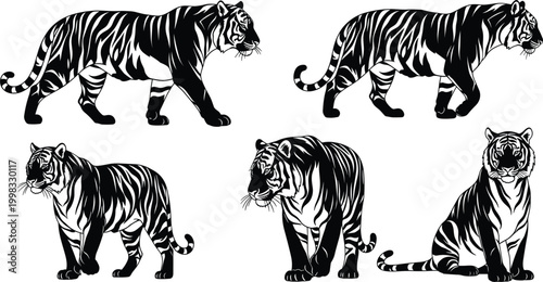Black and White Tiger Vector Silhouette Set Featuring Various Poses like Walking Standing and Sitting for Wildlife Conservation Logo Design and Nature Graphics
