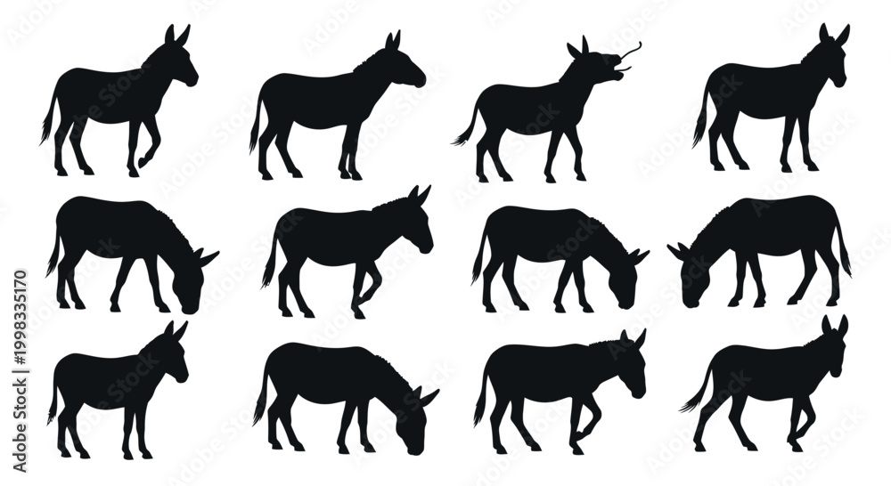 Fototapeta premium Donkey Silhouettes Collection: Various Poses and Actions