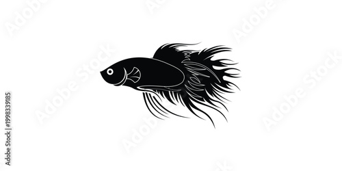 Siamese fighting fish design premium vector