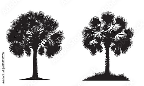 Silhouette Illustration of a Palmetto Tree vector set