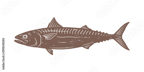 Hand-drawn seafood art. Ocean life illustration. Design asset for packaging or labels. Vector graphic on a transparent background.