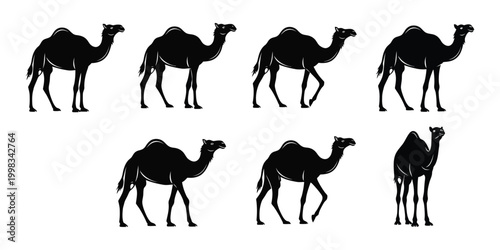 Silhouette collection a variety of camel poses and perspectives in black and white