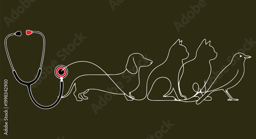 Veterinary care, animal health, pet line icons, stethoscope, dog, cat, bird