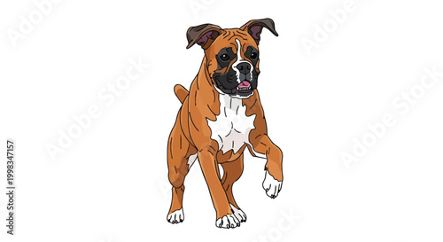 Playful Brown Boxer Dog Vector Illustration - Active Purebred Pet Character Standing Isolated on White Background
