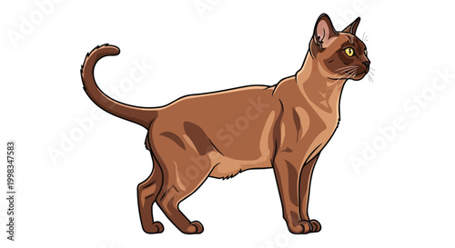 Burmese Cat Vector Illustration, Realistic Brown Short-Haired Feline Standing in Profile Isolated on White Background for Pet and Animal Design