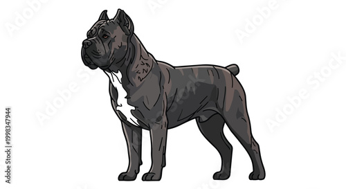 Powerful Muscular Cane Corso Dog Illustration - Strong Guardian Mastiff Breed Vector Graphic for Mascot, Logo, and Pet Lovers