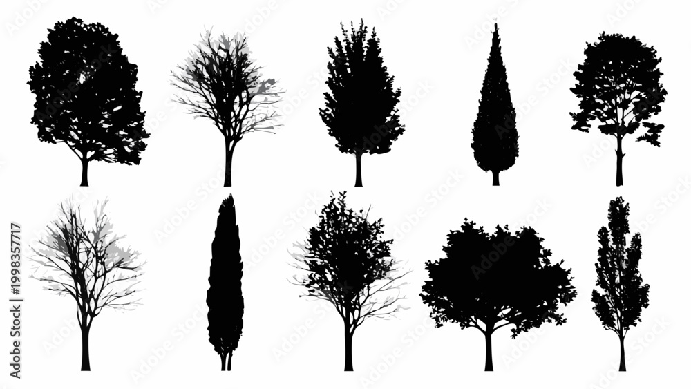 Fototapeta premium tree silhouettes in black and white isolated on white background
