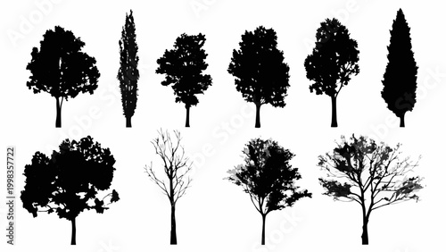 individual tree silhouettes in a horizontal row on white background