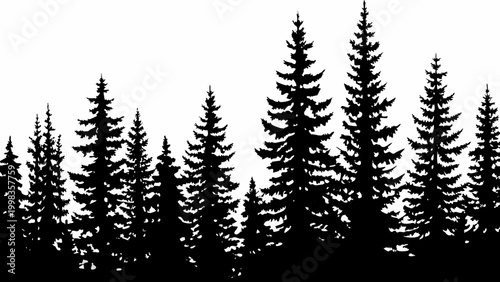 forest silhouette with pine trees on white background high quality professional