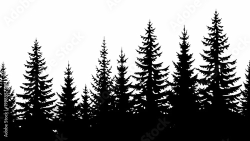 forest silhouette with pine trees on white background high quality professional