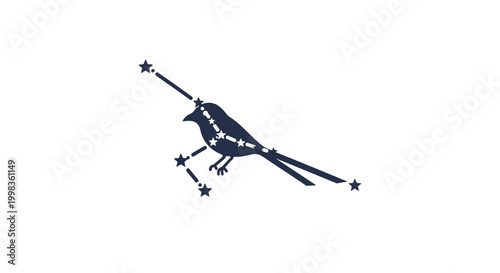 Minimalist Bird Constellation Silhouette with Copy Space for Design