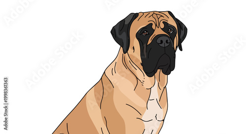 Bullmastiff Dog Vector Illustration - Large Purebred Guard Dog with Black Mask and Fawn Coat Isolated on White Background