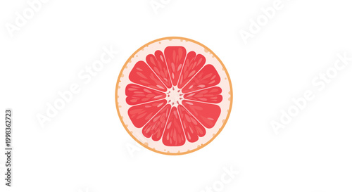 Red Grapefruit Slice Vector Illustration - Fresh Juicy Citrus Fruit Cross-Section Isolated on White Background