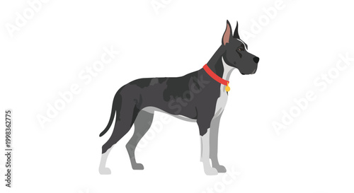 Purebred Great Dane Dog Standing Side View with Red Collar, Large Breed Pet Vector Illustration