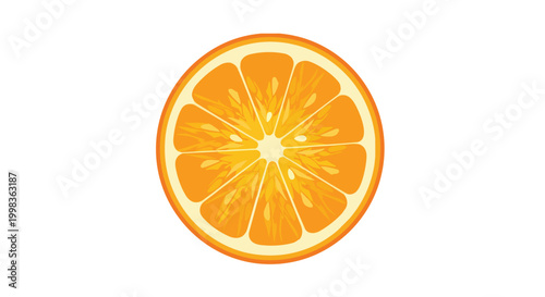 Fresh Orange Slice Vector Illustration - Isolated Citrus Fruit Round Cross Section with Juicy Segments on White Background