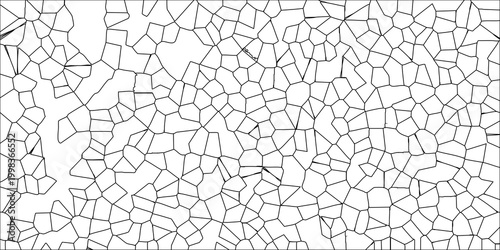 White Abstract Geometric Mosaic Pattern With Black Outline And Irregular Polygonal Shapes background