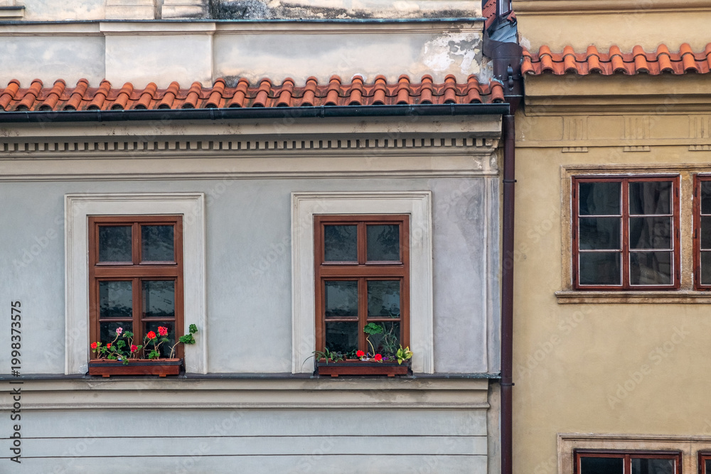 Fototapeta premium Elegant Windows