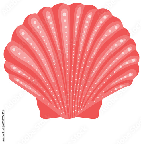 Pink scallop seashell with decorative dots and ribbed texture marine shell isolated