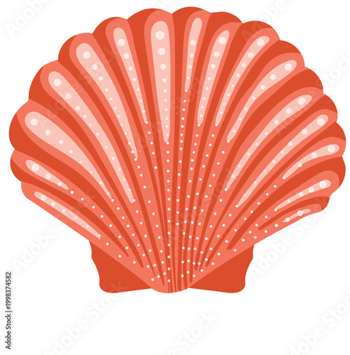 Red scallop seashell with decorative dots and ribbed texture marine shell isolated