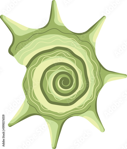Green spiky seashell with spiral pattern and long thorns marine shell isolated