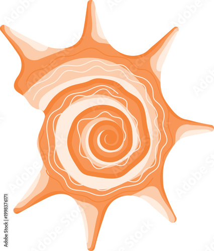 Orange spiky seashell with spiral pattern and long thorns marine shell isolated