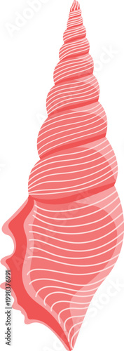 Pink seashell with spiral cone shape and striped pattern marine shell isolated