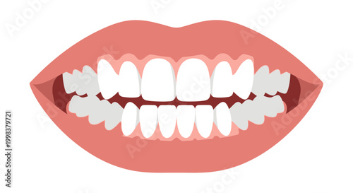 Close-up view of an open mouth with healthy white teeth and pink lips on an isolated white background.