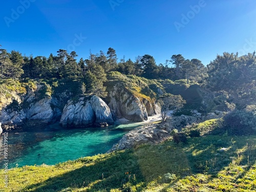 Schilderij op canvas Hidden Cove with Vivid Turquoise Water, White Rock Arch, and Pine Forest at Poin
