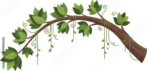 A curved tree branch with green leaves and seed pods on a white background resembling a natural floral arrangement element