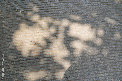 Fotografie Grooved concrete pavement texture with soft tree shadows and sunlight on the surface