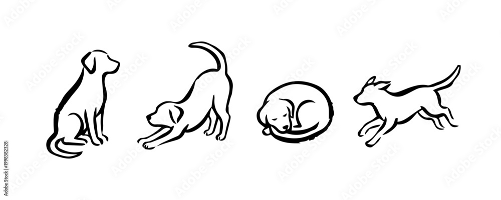 Obraz premium Set of dogs in different poses in rough ink drawing style. Dog drawings with black stroke on white background. Vector illustration.