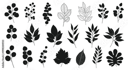 Large collection of various leaf silhouettes and line drawings in black and white featuring different tree species and botanical shapes for design.