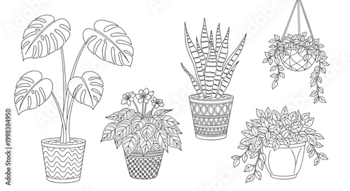 Collection of black and white line art drawings of various indoor houseplants in decorative pots including monstera snake plant and hanging ivy.