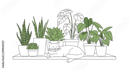 Cozy shelf holds various potted houseplants and succulents while a white cat sleeps peacefully among the greenery.