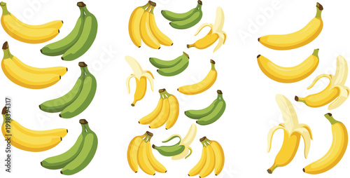 Banana collection with ripe and unripe bunches, peeled bananas and slices, tropical fruit set, colorful cartoon vector illustration isolated on white background
