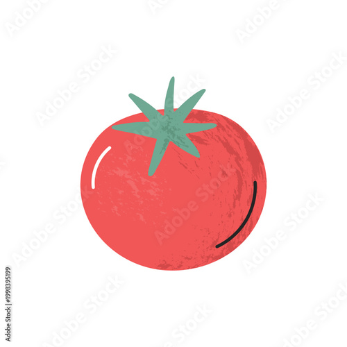Картината върху платно Flat hand-drawn illustration of tomato with soft shadow texture doodle style col