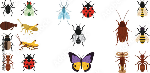 Insects collection set with beetles, flies, ladybugs, cockroaches, termites and butterfly, detailed cartoon bug illustrations vector isolated on white background