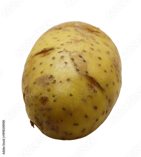 potato on transparent png