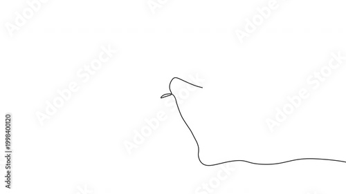 Minimalist Monochrome Line Sketches Sharp Smooth Abstract Curves in Dynamic